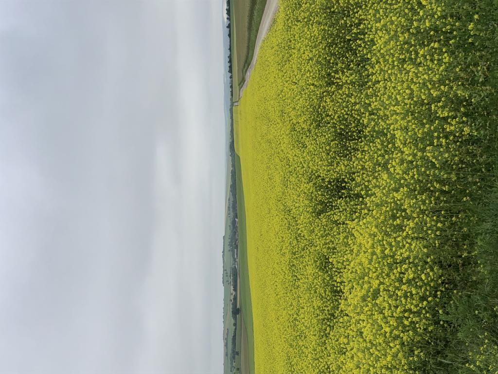 3 initiatives pour la biodiversité